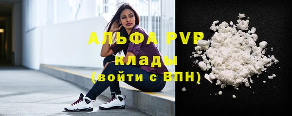 прущая мука Корсаков