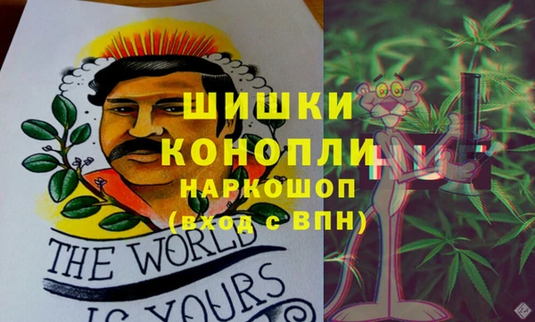 прущая мука Корсаков