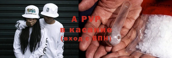 прущая мука Корсаков