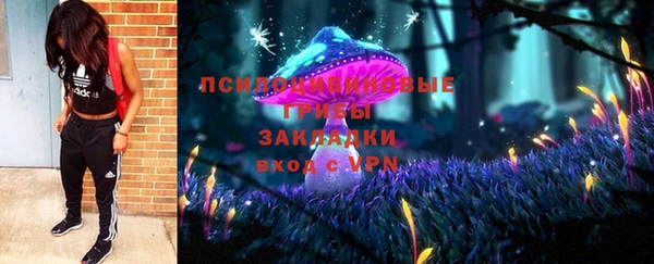 стафф Краснослободск