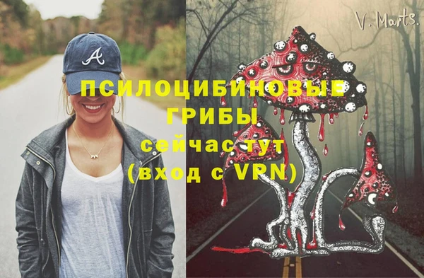 прущая мука Корсаков